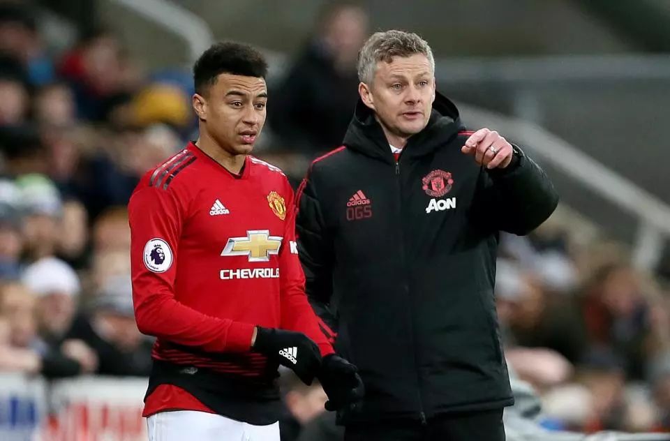 高哥不仅在 高哥不仅在